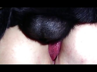 Extreme Anal Trans Porn