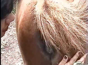 Extreme Pain Porn Videos