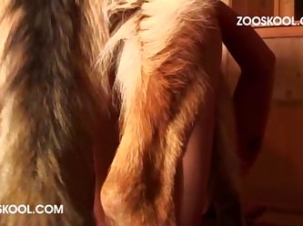 Extreme Fucking Porn Videos