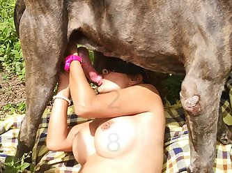 Extreme Weird Porn Videos