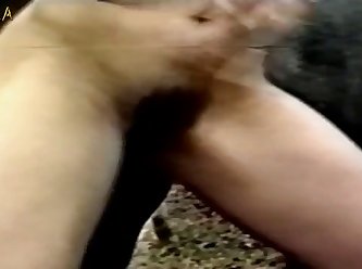 Bestiality Art