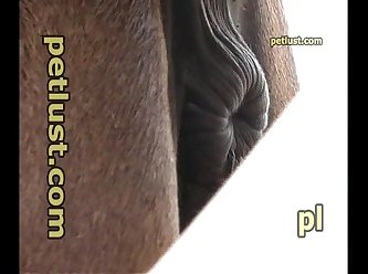 Soo Porn