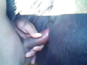 Cat Animal Porn
