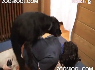 Extreme Gangbang Rape Porn