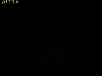 Onlyfans Extreme Porn