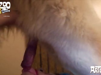 Free Animal Extreme Porn