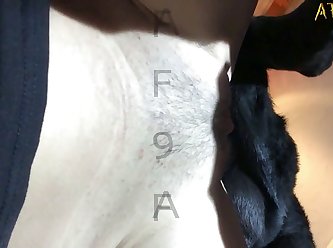 Extreme Pawg Porn
