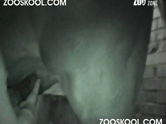 Extreme Pregnant Porn Video