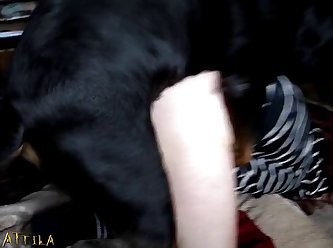Hardcore Extreme Rape Porn