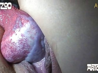 Assylum Extreme Porn