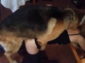 Zoo Porno