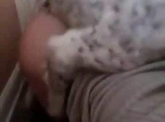 Dog Sucking Dick
