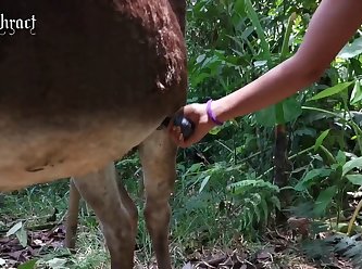 Artofzoo Porno