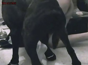 Luba Love Porn
