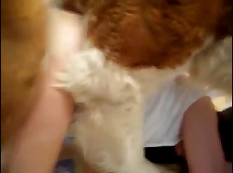 Girl Suck Dog Cock