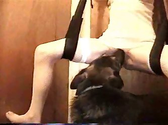 Animal Scat Porn Dog Cow
