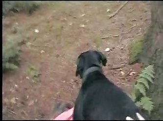 Videos Porno Con Animales
