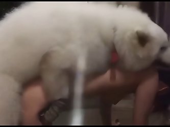Dog Fuck Teen Girl Ass