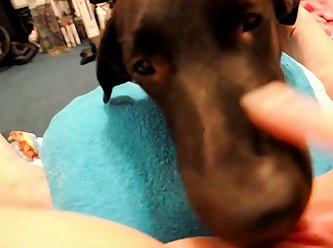 Teen Dog Fuck Webcam