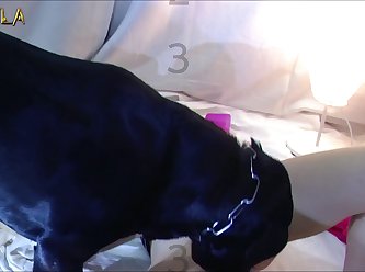 Dog Fuck Women 2020