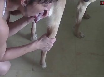 Dog Face Fuck Xxx