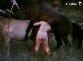 Dog Shit Fuck