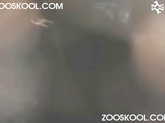 Asian Forced Fuck Dog