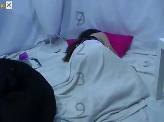 Boy Fuck Small Dog