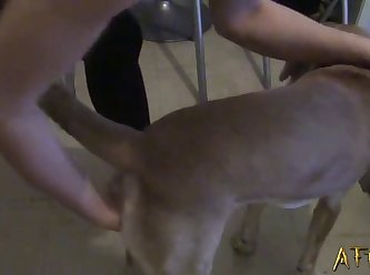 I Let My Dog Fuck My Mouth