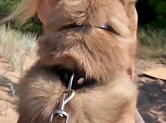 Dog Fuck Girl Forcefully