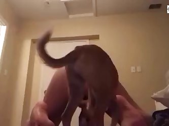 I Wanna Fuck A Dog Lyrics