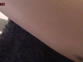 Female Dog Fuck In Heat