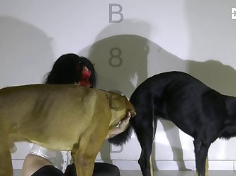 Hot Blond Fuck Dog