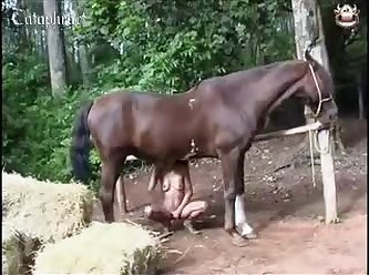 Dog Licks Couple While They Fuck