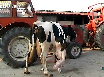 Dog Squirt Fuck