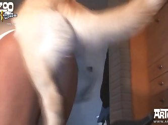 Dog Fuck Cum Inside
