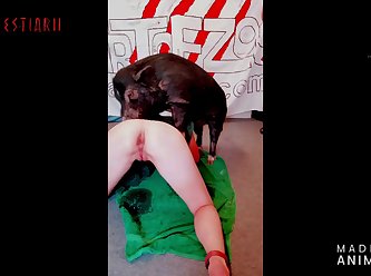 Porn Gay Fuck Dog