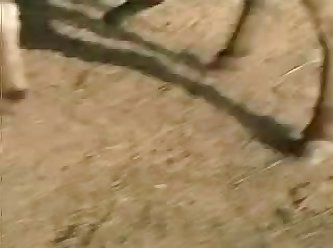 Home Alone Girl Fuck Dog