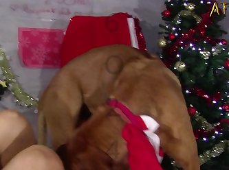 Dog Fuck Face