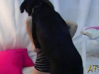 Dog Fuck A Hot Girl