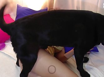 Female Dog Hard Fuck
