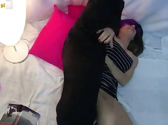 Dog Fuck Small