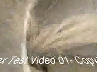 Big Dick Dog Fuck Owner