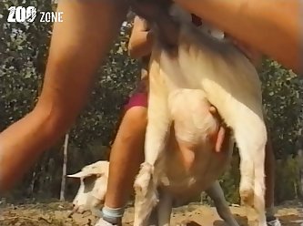 Big Dog Fuck Girl Xxx