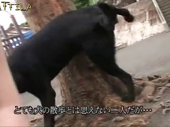 Vet Fuck Dog Porn