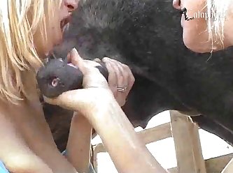 Passed Out Dog Fuck