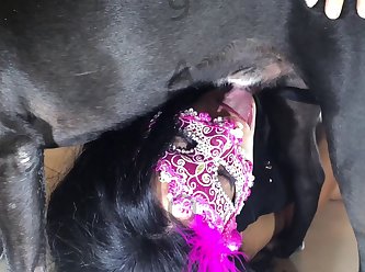 Dog Fuck Girll