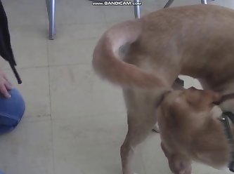 Girl Fuck Dog 2021