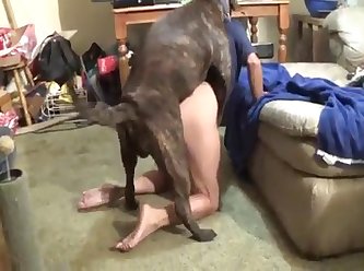 Dog Fuck Suprise