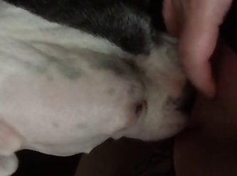 Tigerlily Dog Fuck